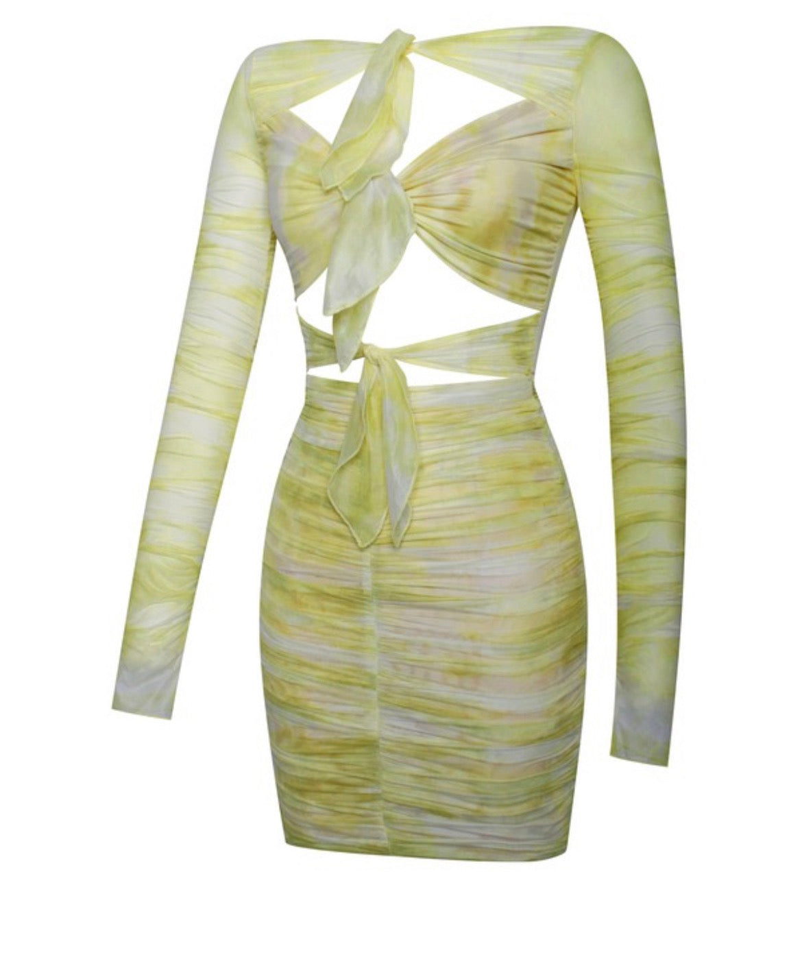 Kimberly Yellow Print Mesh Long Sleeve Dress