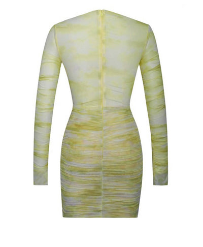 Kimberly Yellow Print Mesh Long Sleeve Dress